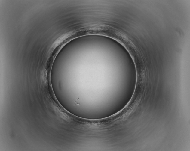 X0000113960970200909251356