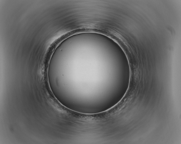 X0000113960971200909251356