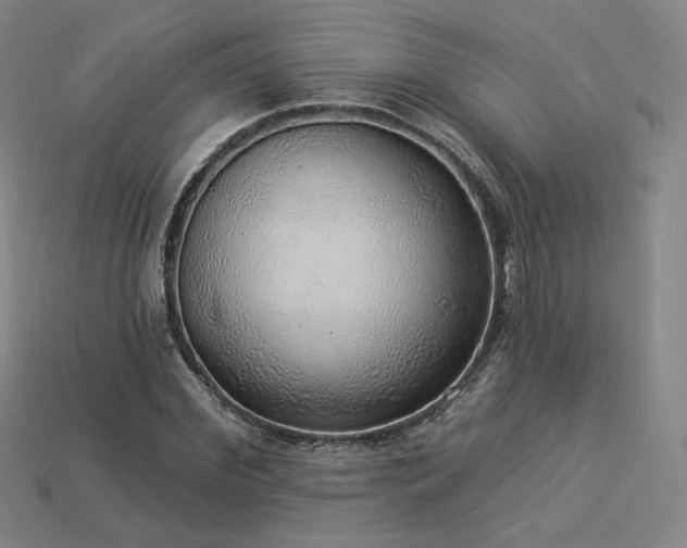 X0000113960972200909251356