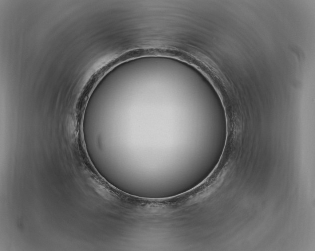 X0000113960974200909251356