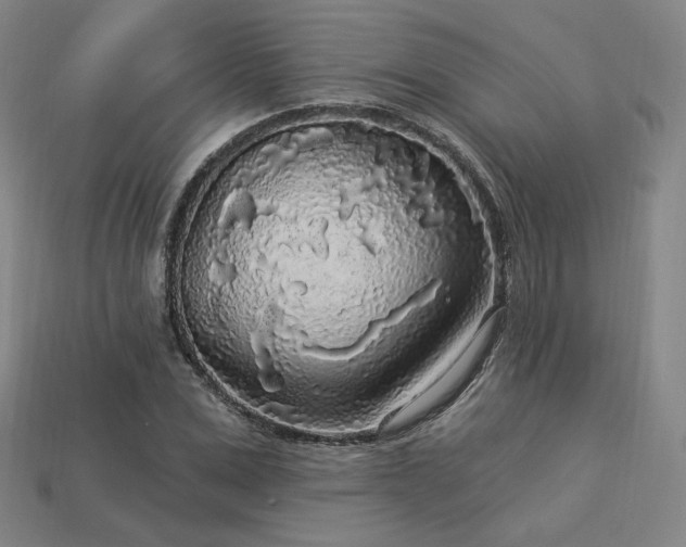 X0000113960975200909251356