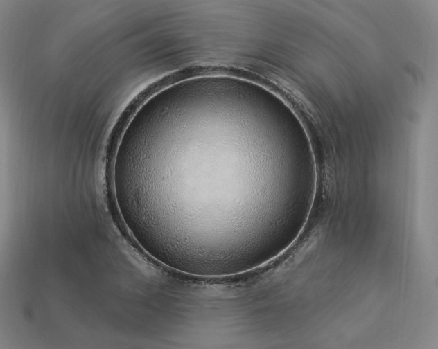 X0000113960976200909251356