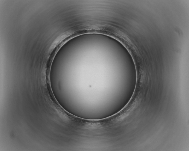 X0000113960978200909251356