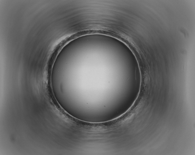 X0000113960979200909251356