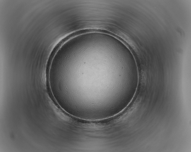 X0000113960980200909251356