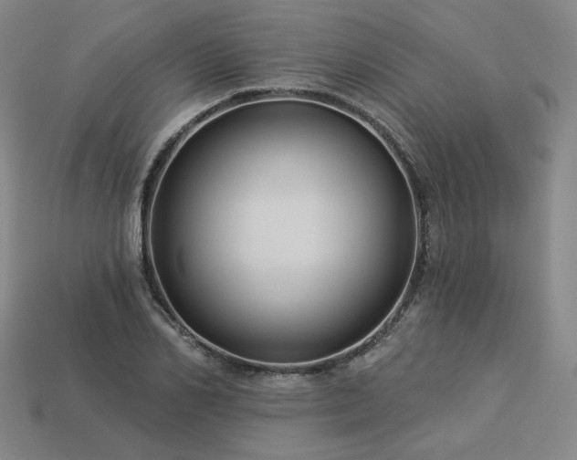 X0000113960982200909251356