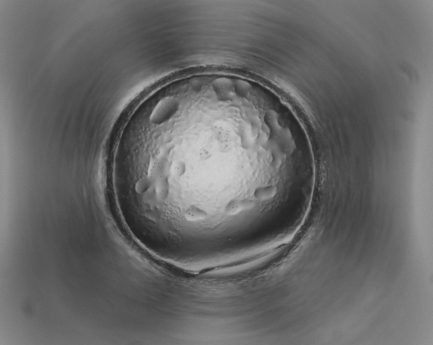 X0000113960983200909251356