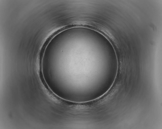 X0000113960984200909251356