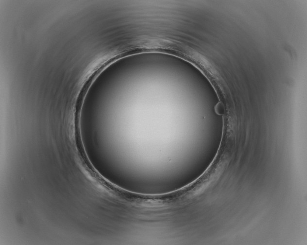 X0000113960986200909251356
