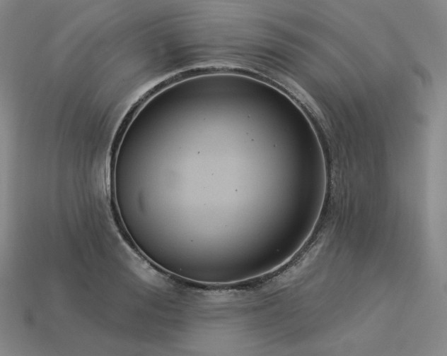 X0000113960988200909251356