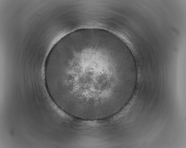 X0000113960990200909251356