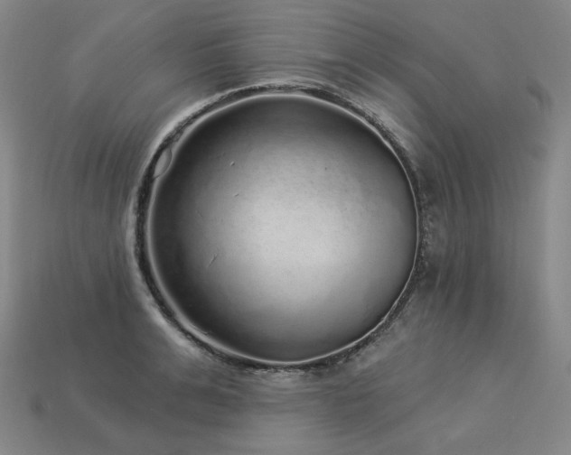 X0000113960991200909251356
