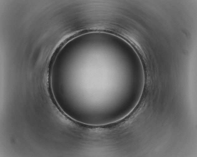 X0000113960992200909251356