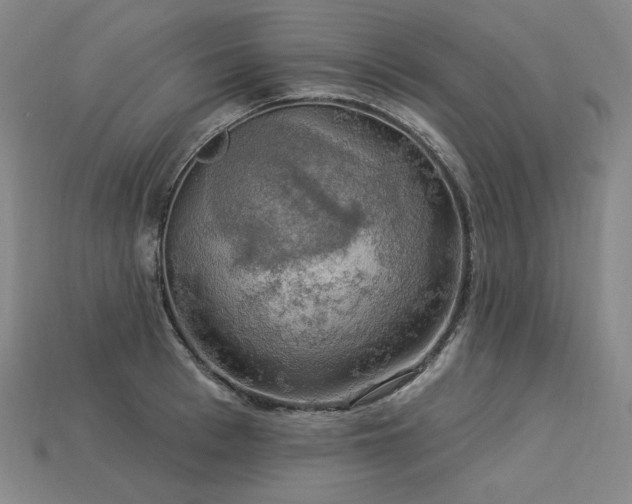 X0000113960993200909251356