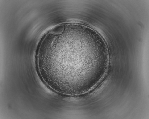 X0000113960995200909251356