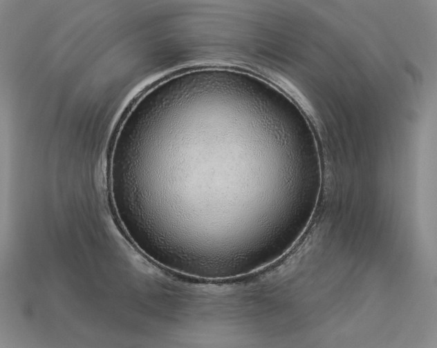 X0000113960996200909251356
