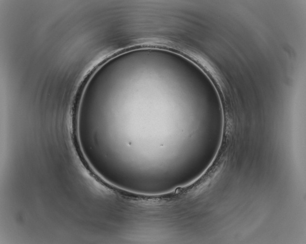 X0000113960999200909251356