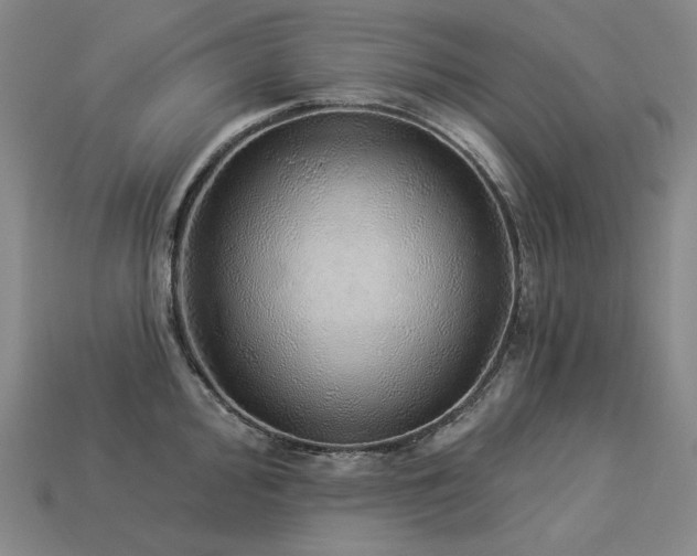 X0000113961000200909251356