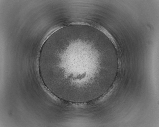X0000113961002200909251356