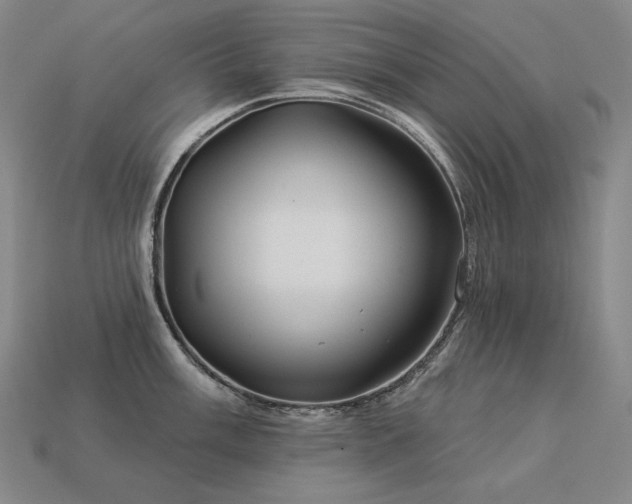 X0000113961003200909251356