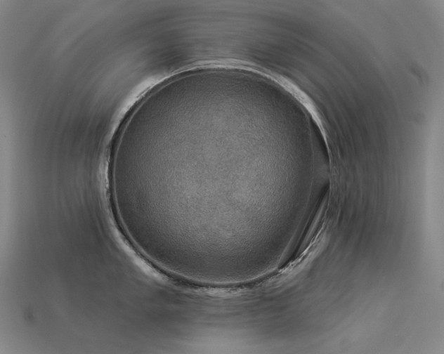 X0000113961005200909251356