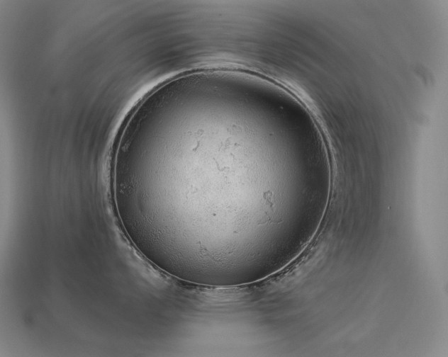 X0000113961008200909251356