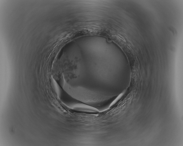 X0000113961009200909251355