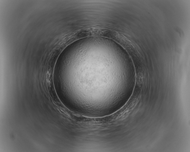 X0000113961010200909251355