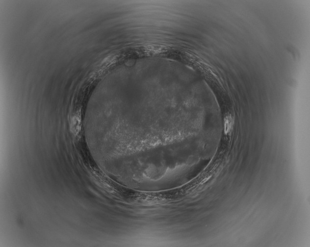 X0000113961011200909251355