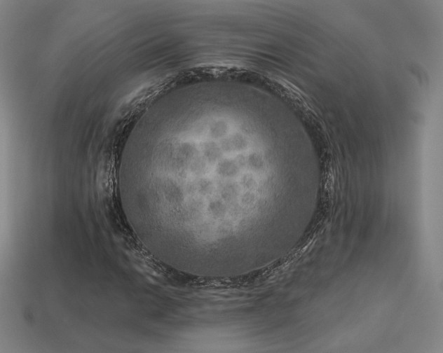 X0000113961014200909251355