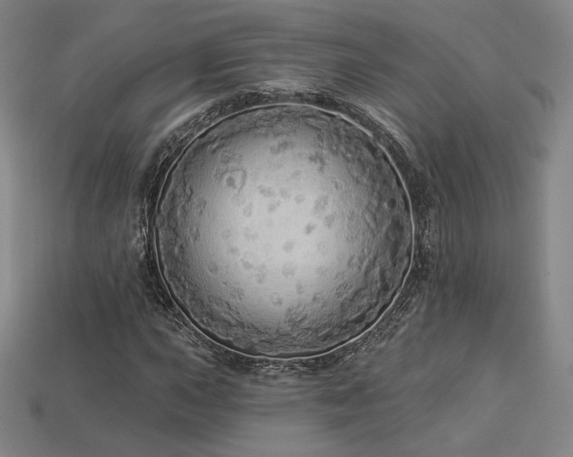 X0000113961015200909251355