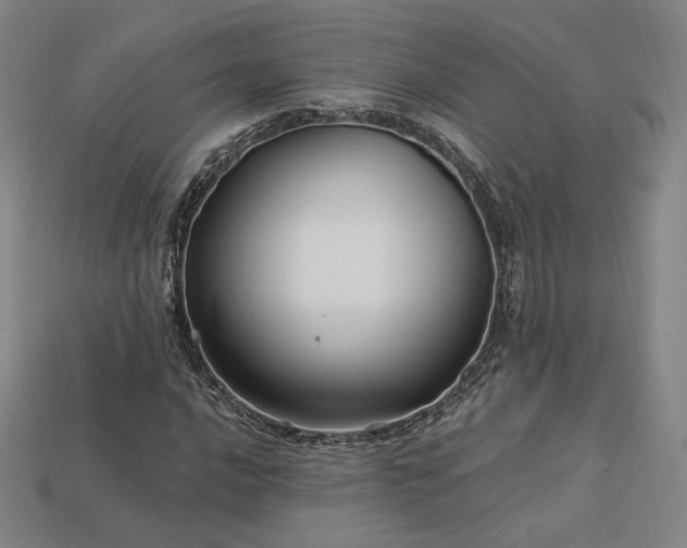 X0000113961016200909251355