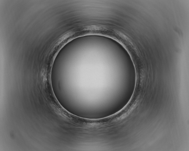 X0000113961017200909251355