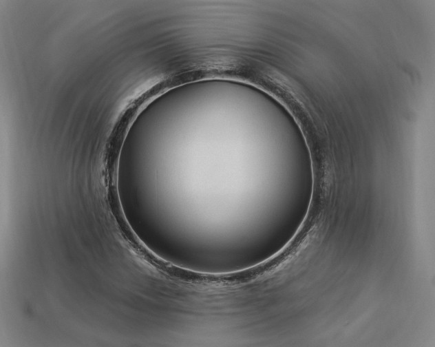 X0000113961018200909251355