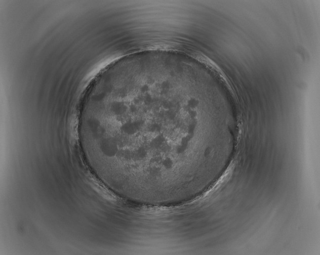 X0000113961019200909251355