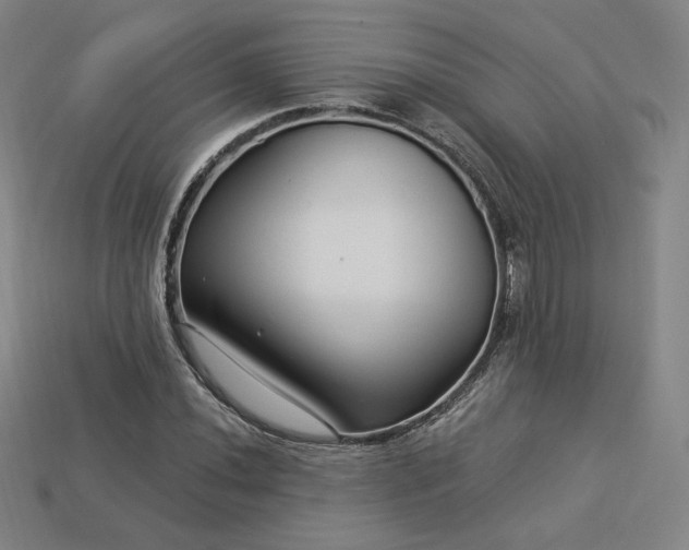 X0000113961020200909251355