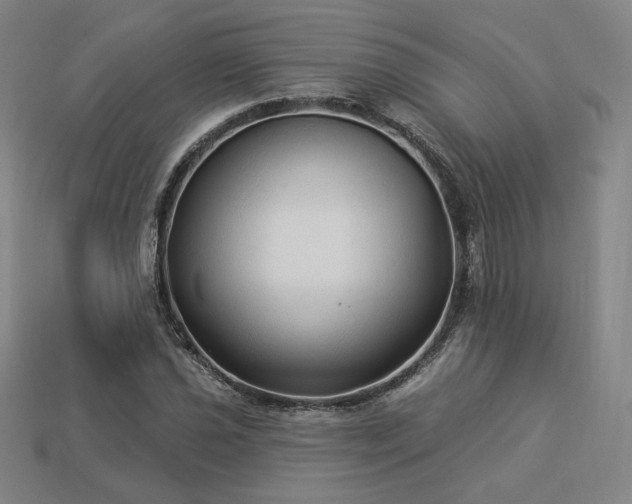 X0000113961021200909251355