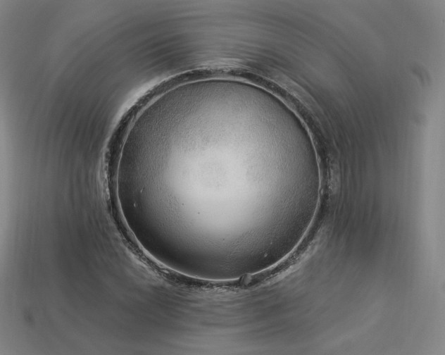 X0000113961022200909251355