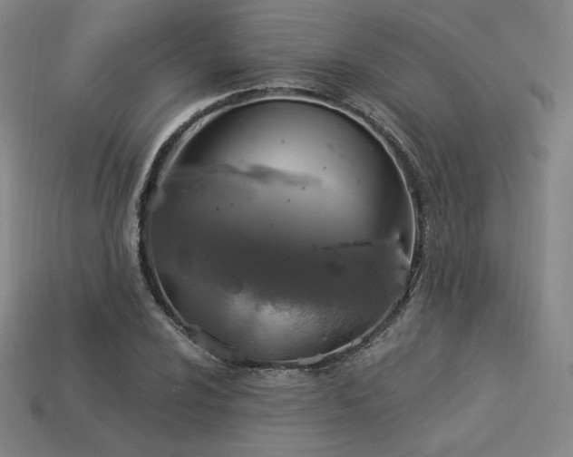 X0000113961024200909251355