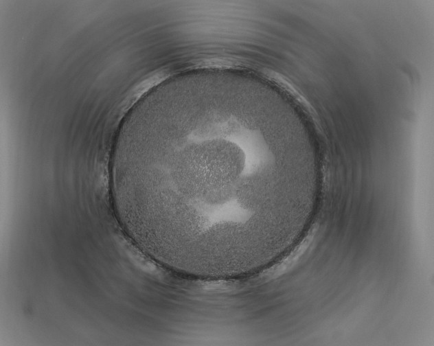 X0000113961025200909251355