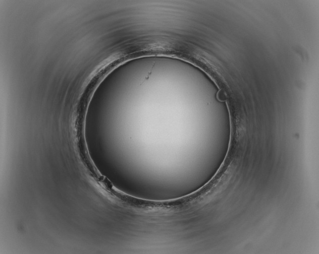 X0000113961026200909251355