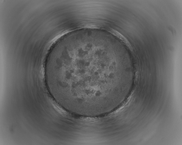 X0000113961027200909251355