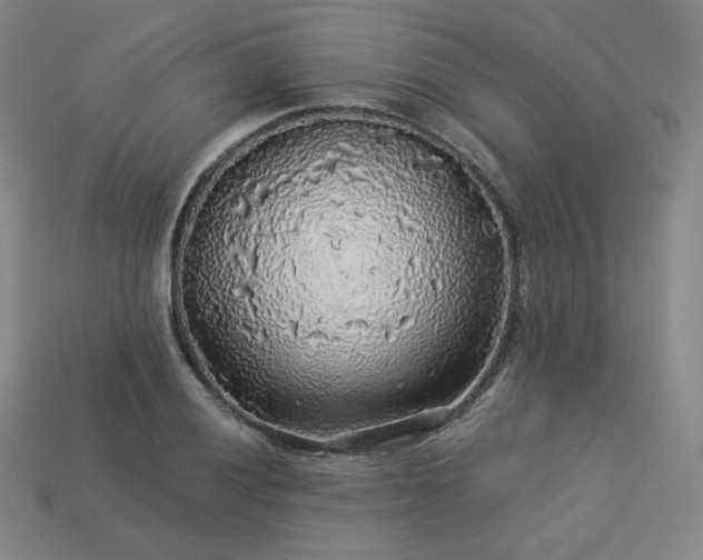 X0000113961028200909251355