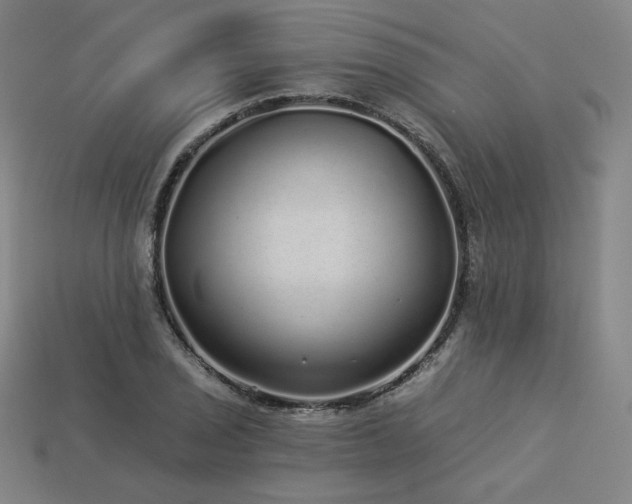 X0000113961029200909251355