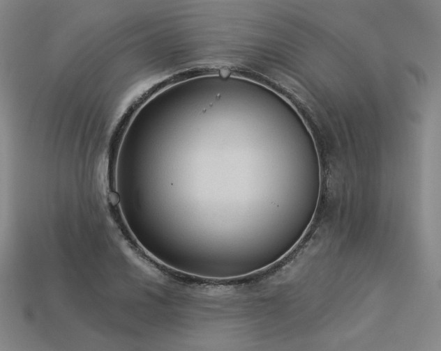 X0000113961030200909251355