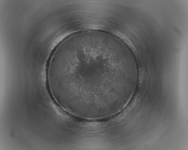 X0000113961031200909251355