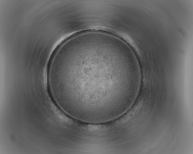 X0000113961032200909251355