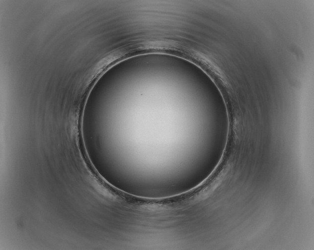 X0000113961033200909251355