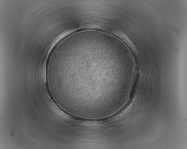 X0000113961036200909251355