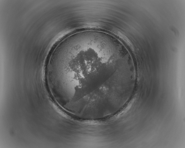X0000113961037200909251355